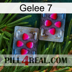 Jelly 7 15
